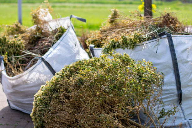 Best Professional Junk Removal  in Thatcher, UT
